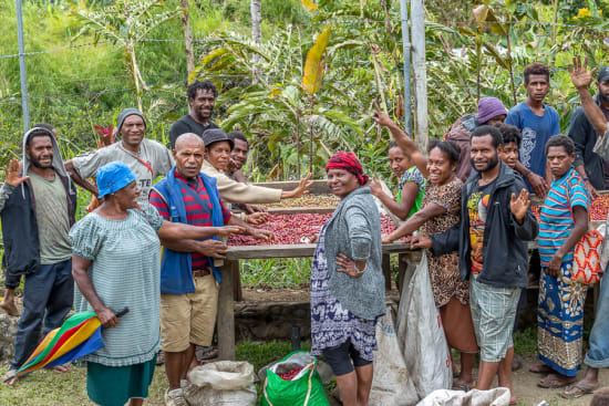 Papua New Guinea: Riverside Mill - Kabiufa Microlot