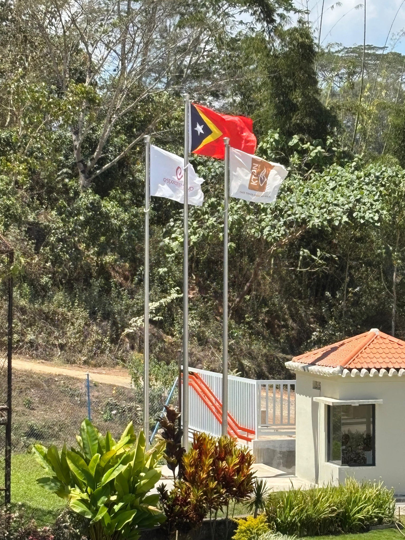 East Timor Ermera Coffee Growers