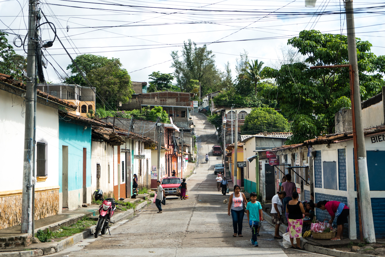 El Salvador: Finca Himalaya