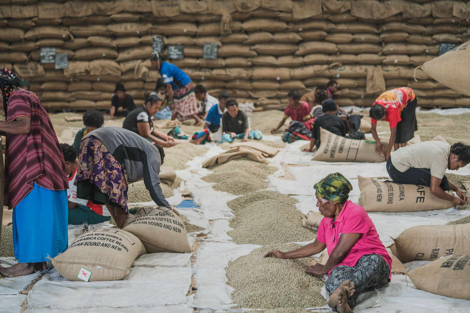 Papua New Guinea Okapa: Featured Origin Select Coffee - Perkolator