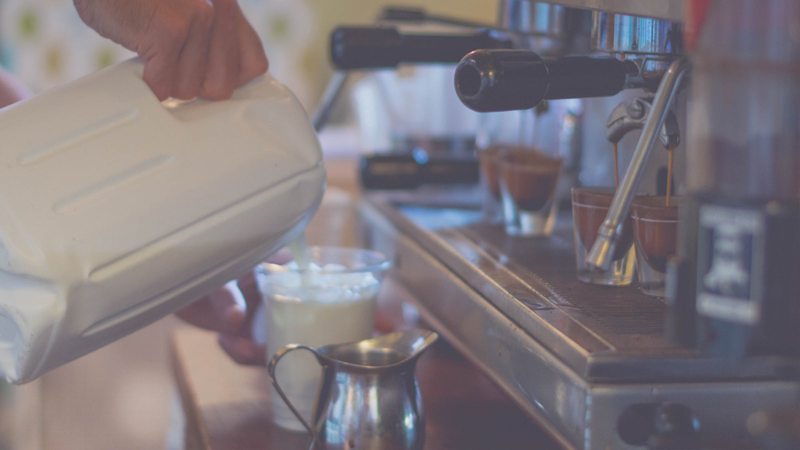 Wholesale coffee espresso at Perkolator