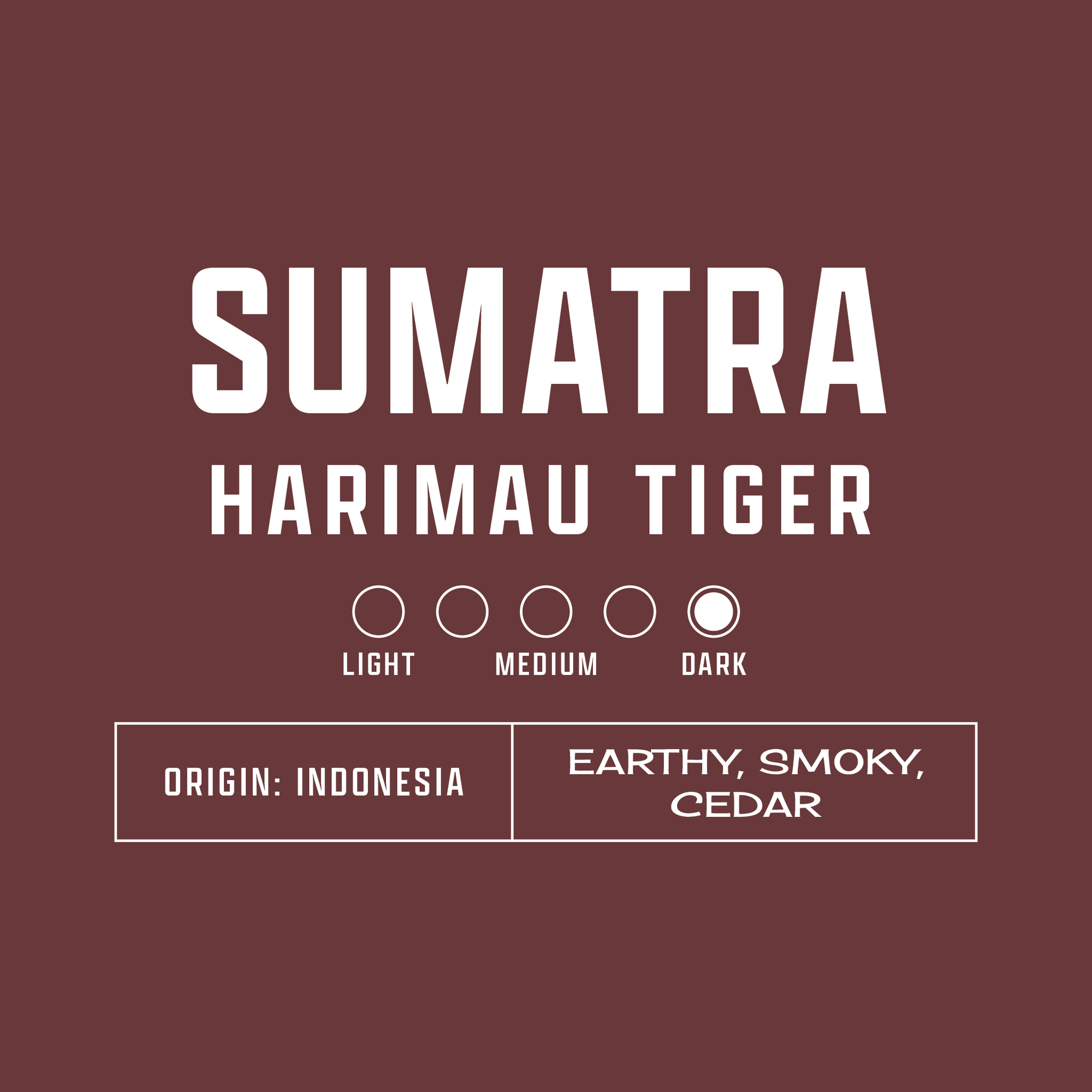 Sumatra Harimau Tiger
